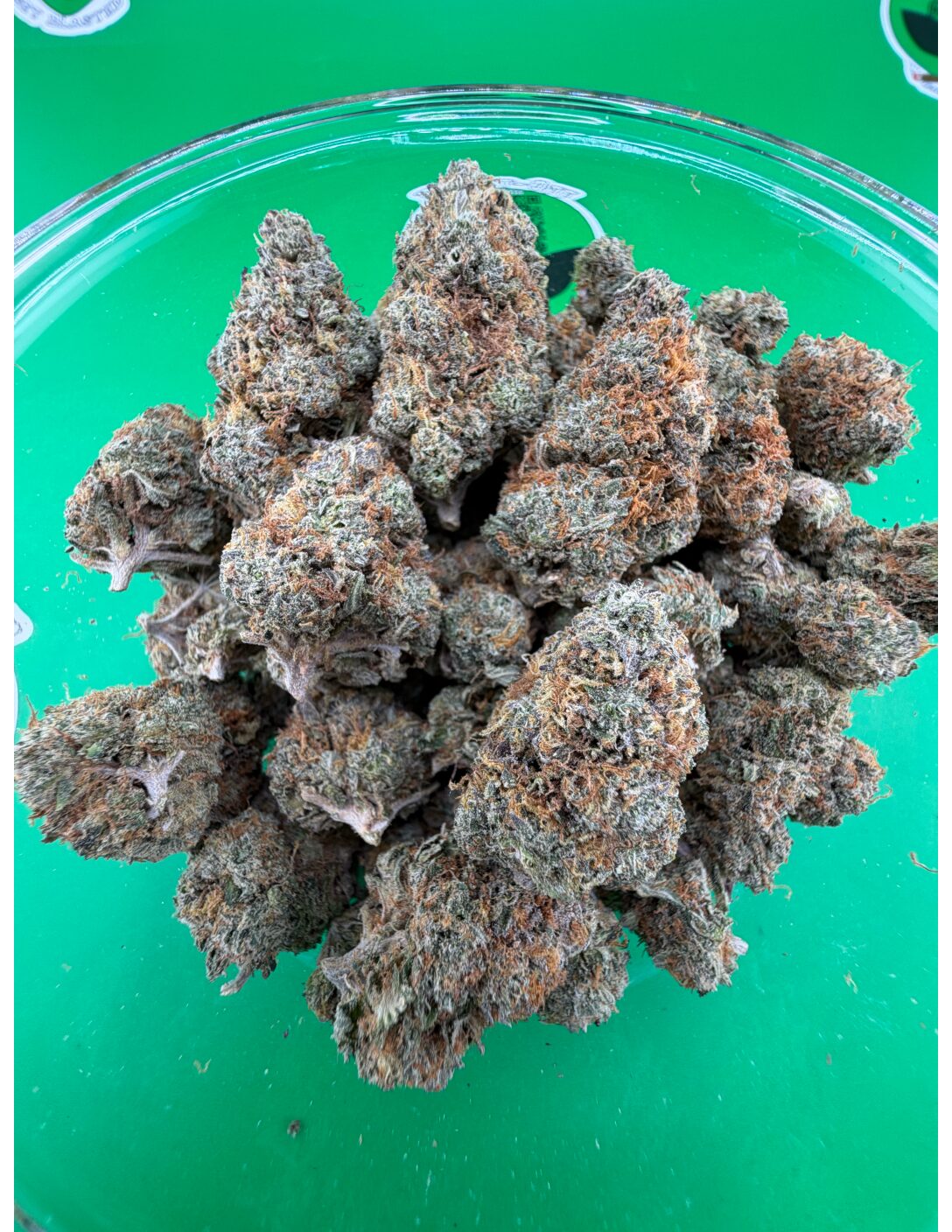 Frost Berry
